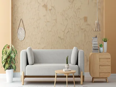 दीवारों पर नमी के प्रकार और उनसे बचने के उपाय